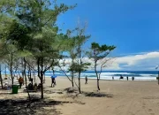 Menikmati Keindahan Alam di Pantai Cemara Cidaun