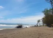 Menikmati Keindahan Alam di Pantai Goa Cemara Jogja