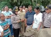 Sindikat Pencuri Ternak di Bogor Dibekuk Polisi