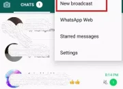 Cara Menggunakan Broadcast WhatsApp untuk Bisnis