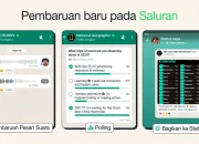 Mengenal Fitur Baru WhatsApp Channel dan Cara Membuatnya