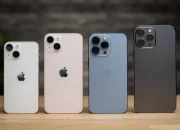 Perbedaan iPhone Inter dan iBox: Mana yang Lebih Baik?