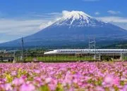 Mengungkap Keindahan Gunung Fuji yang Mempesona