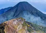 Pesona Alam dan Petualangan di Gunung Gede