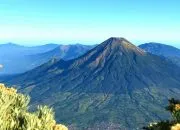 Menikmati Keindahan dan Tantangan di Gunung Sumbing