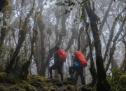 Menjelajah Gunung Latimojong: Puncak Tertinggi di Sulawesi Selatan