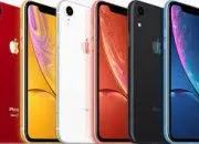 Menjelajah Fitur Unggulan dan Spesifikasi iPhone XR